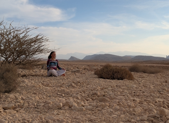 Person sitting near acacia tree in desert
