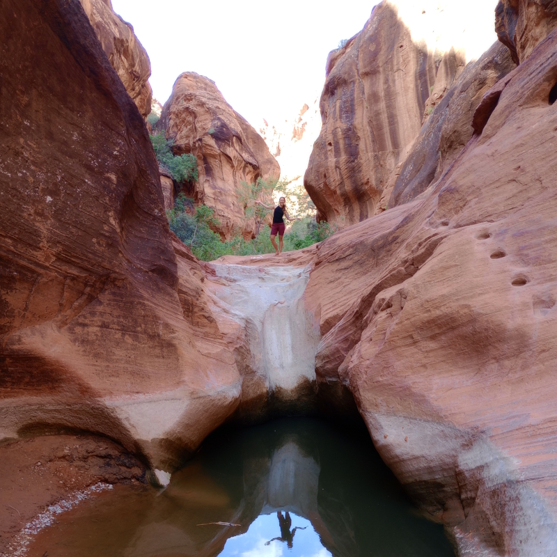 Lacy in middle of desert canyon above pool