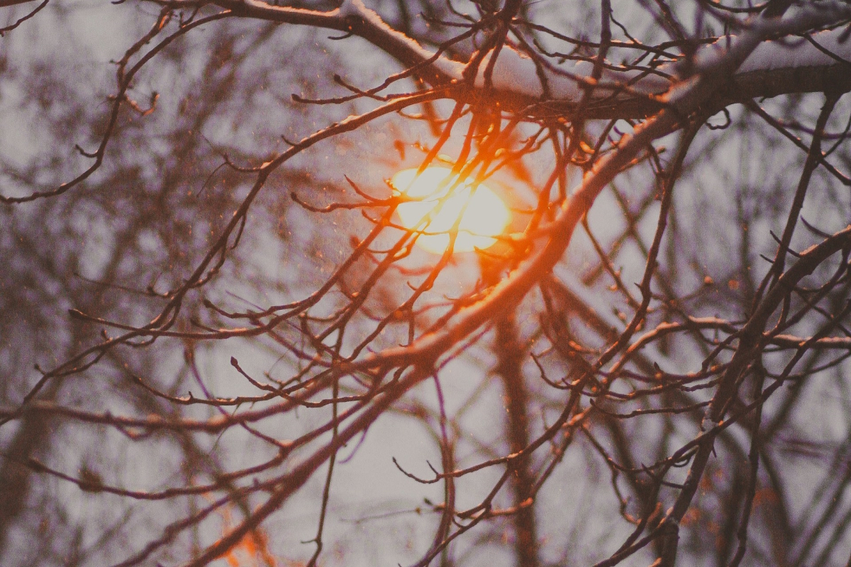 Meditation 03: Warming Energy