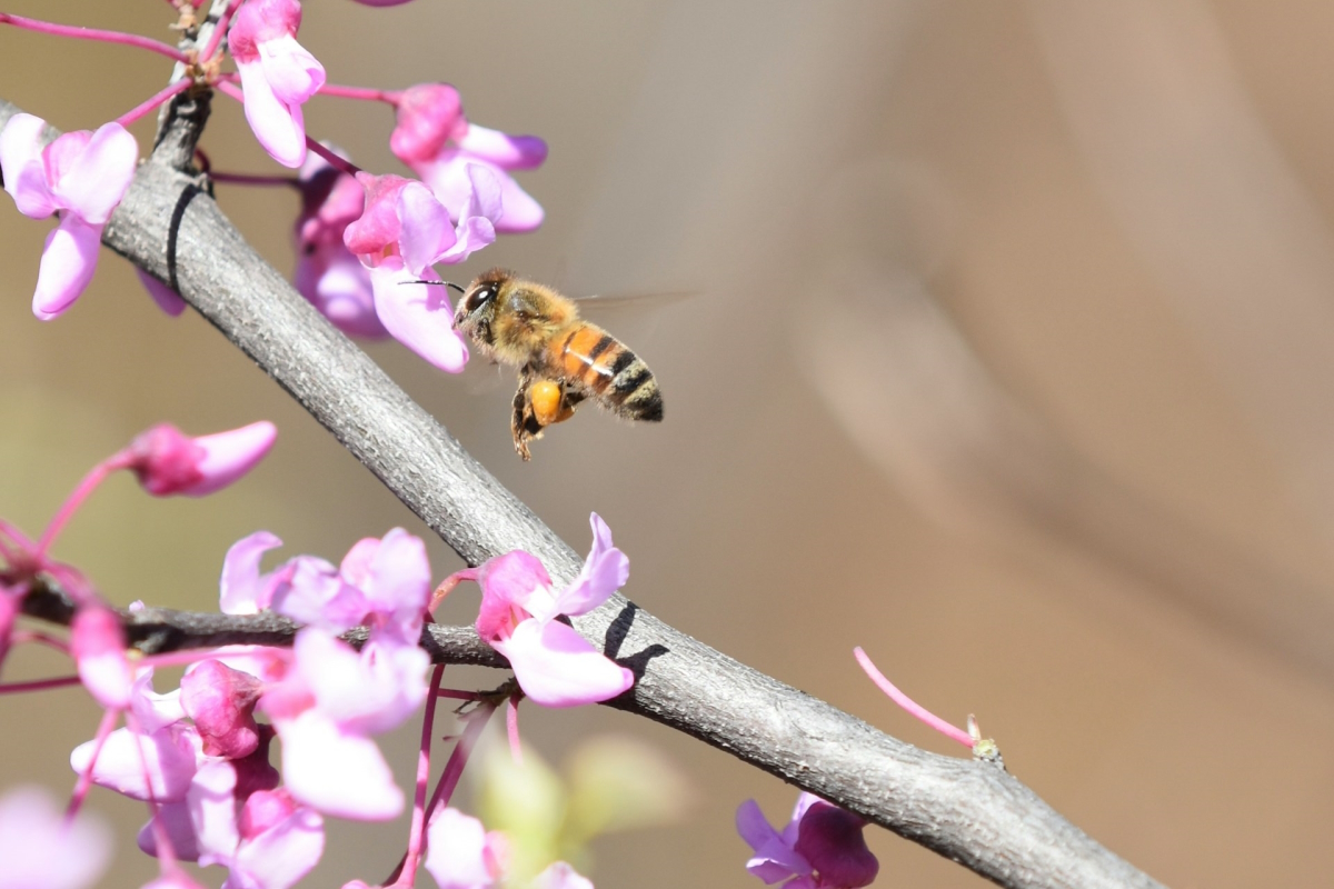 Meditation 09: Throat Chakra