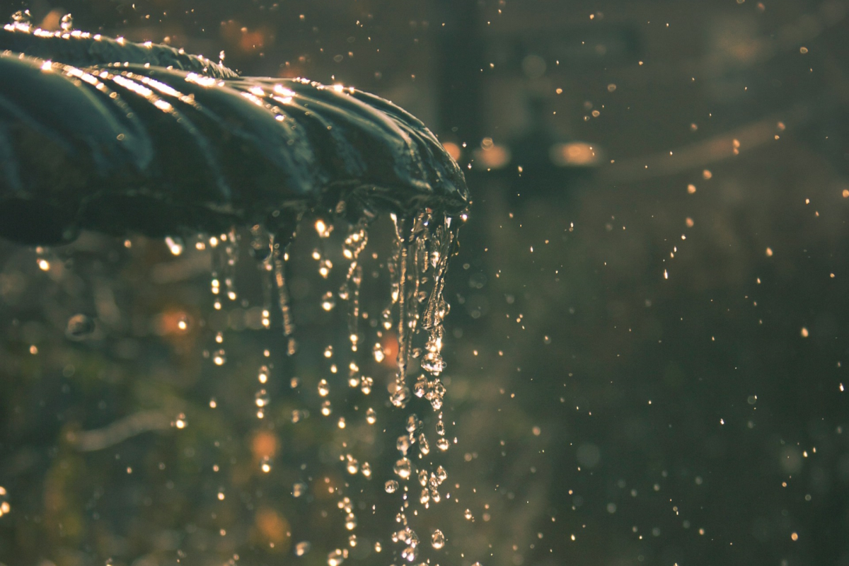 Meditation 07: Gratitude