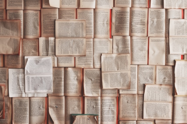 Pages and pages of open books. Photo by Patrick Tomasso on Unsplash.